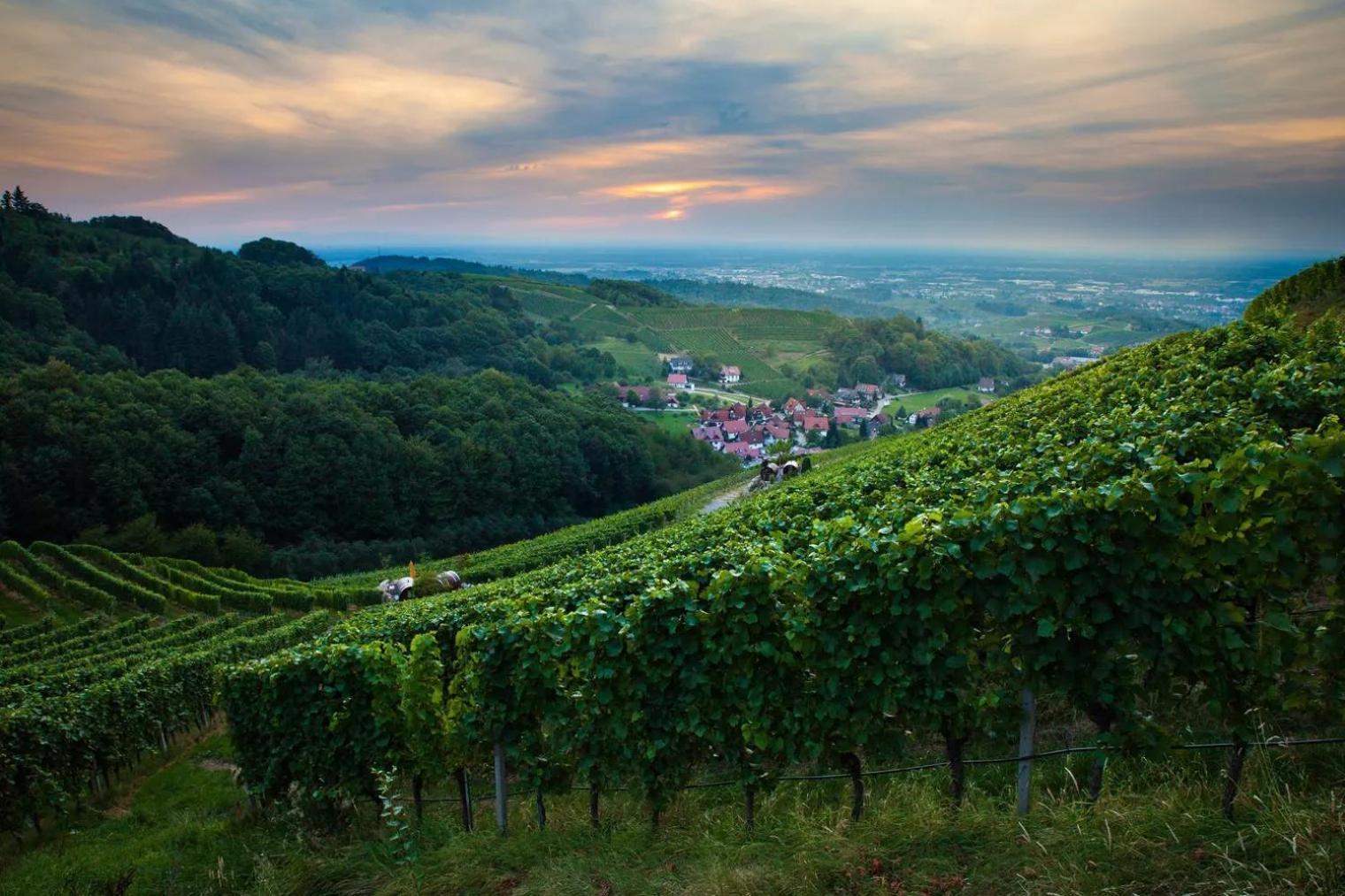The Himmelsteig *