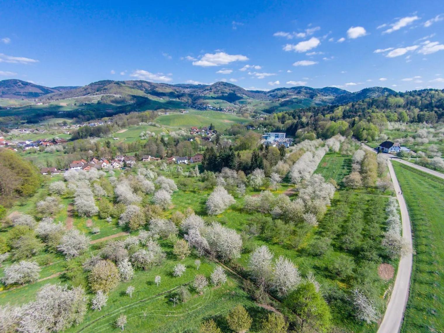 The Himmelsteig Sasbachwalden