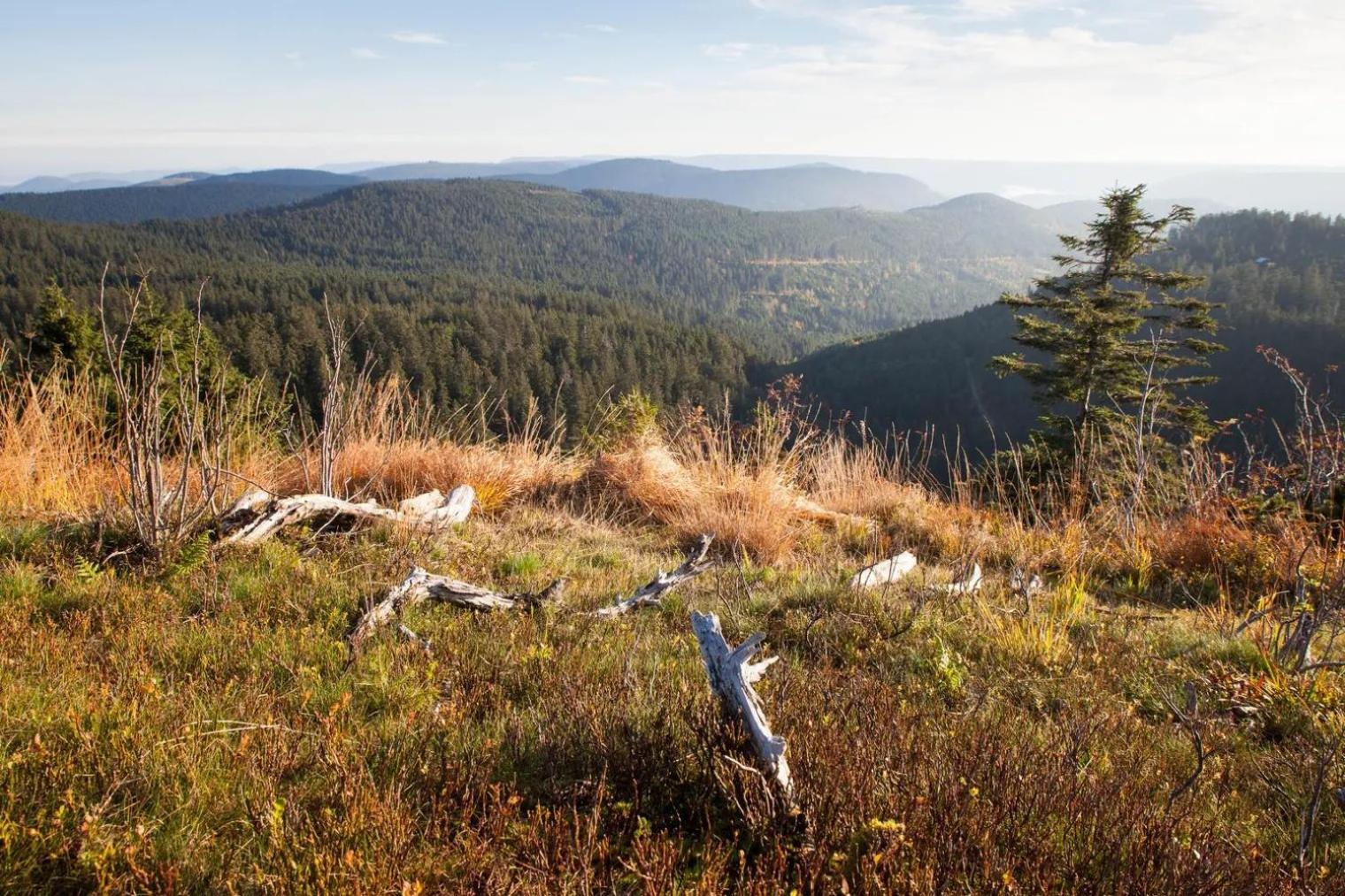 The Himmelsteig